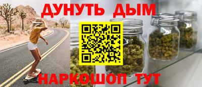 индика Дубна