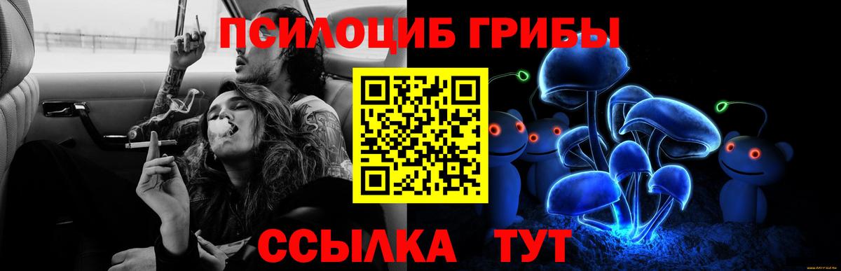 Галлюциногенные грибы Magic Shrooms Можга